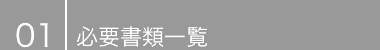 Ԕp 01 ԍ